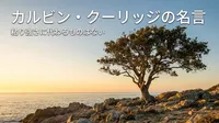 カルビン・クーリッジの名言「粘り強さに代わるものはない」の意味を考える