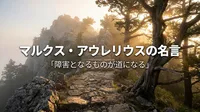 マルクス・アウレリウスの名言「障害となるものが道になる」の意味を考える